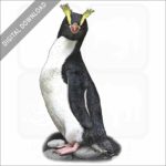 Erect Crested Penguin stock image