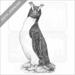Erect Crested Penguin