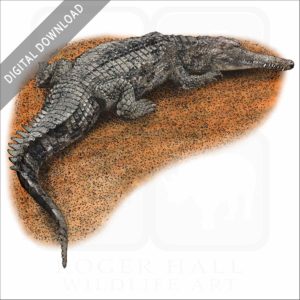 False Gharial stock image