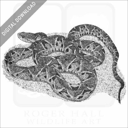 Fer-de-Lance
