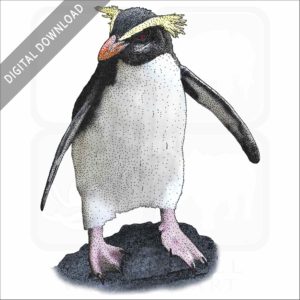 Fiordland Penguin stock image