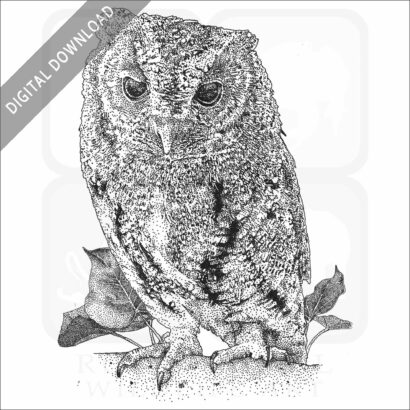 Flammulated Owl