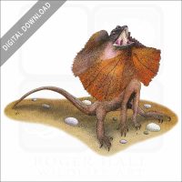 Frill-Necked Lizard stock image