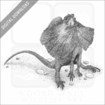 Frill-Necked Lizard