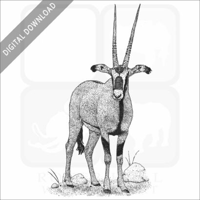 Fringe-Eared Oryx