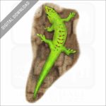 Madagascar Giant Day Gecko stock image