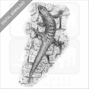 Madagascar Giant Day Gecko