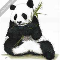 Giant Panda stock image