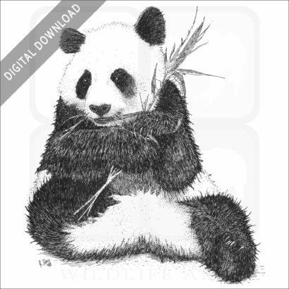 Stock Art Drawing of a Giant Panda - Image 2