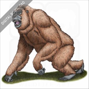 Gigantopithecus stock image