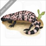 Gila Monster stock image