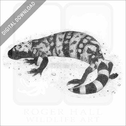Gila Monster