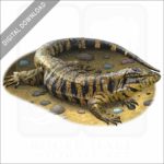 Golden Tegu illustration