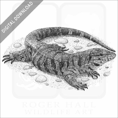 Golden Tegu