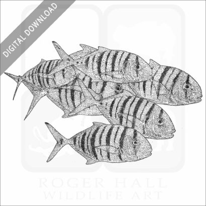 Golden Trevally