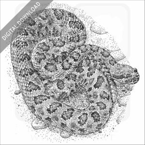 Grand Canyon Rattlesnake