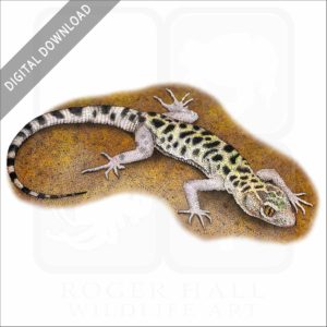 Granite Night Lizard stock image