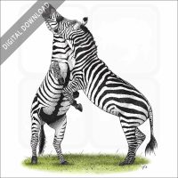 Grant's Zebras stock image