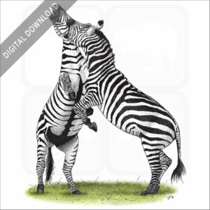 Grant's Zebras stock image