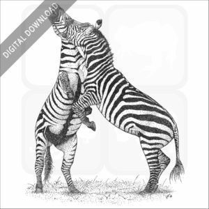 Grant's Zebras