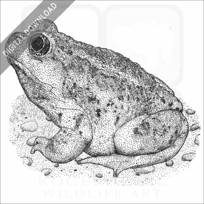 Great Basin Spadefoot