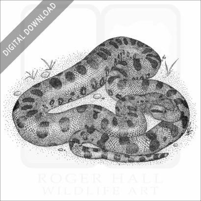 Green Anaconda