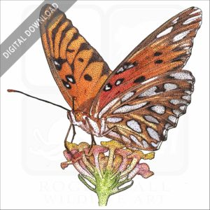 Gulf Fritillary Butterfly stock image