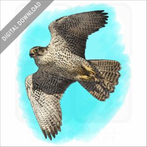 Gyrfalcon stock image