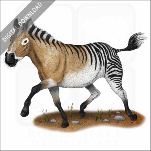 Hagerman Horse stock image