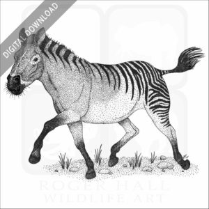 Hagerman or American Horse