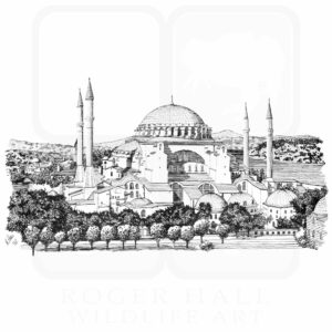 Hagia Sophia Grand Mosque, Turkey illustration