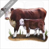 Hereford Cow and Calf stock image