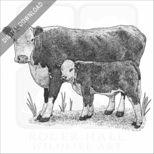 Hereford Cow and Calf