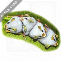 Honduran White Bats stock image