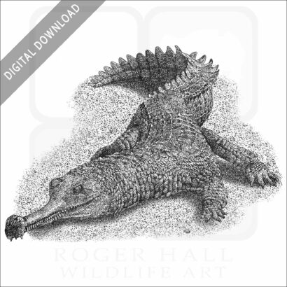 Indian Gharial