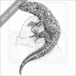 Island Night Lizard