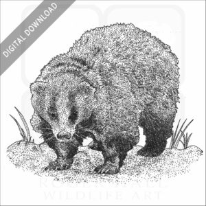 Japanese Badger