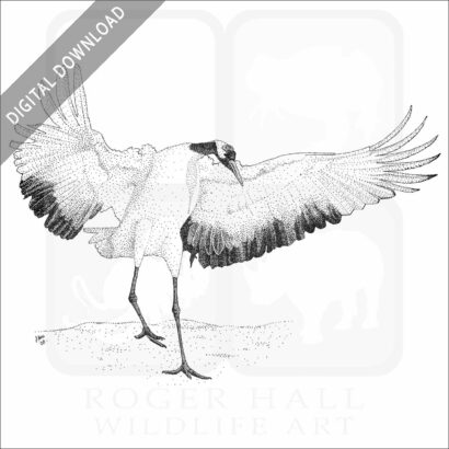Japanese Crane