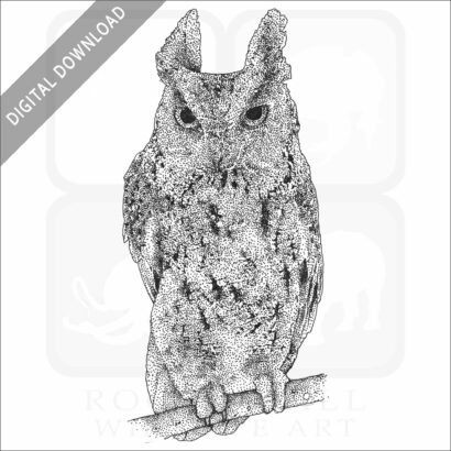 Japanese Scops Owl