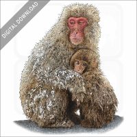Japanese Snow Monkeys stock image
