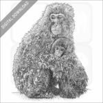 Japanese Snow Monkey