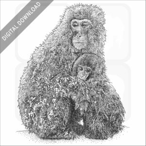 Japanese Snow Monkey