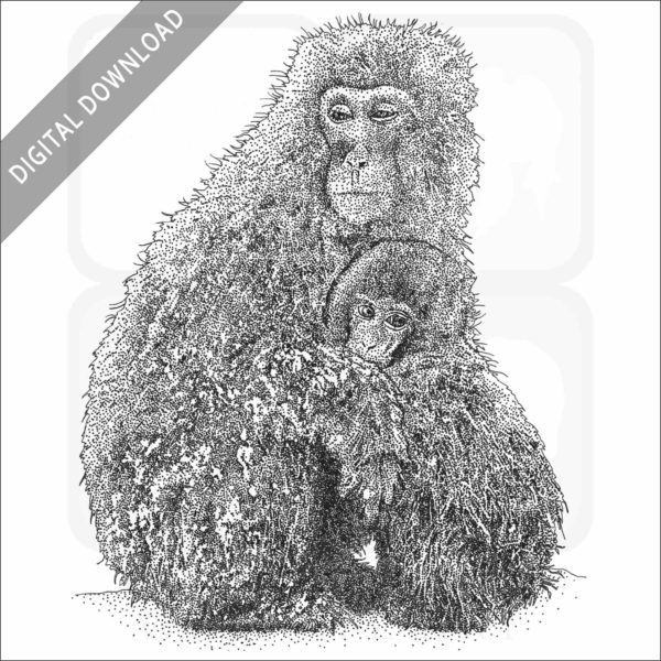 Japanese Snow Monkey