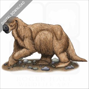 Jefferson's Ground Sloth stock image