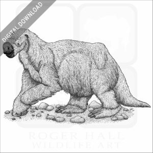 Jefferson's Ground Sloth