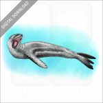 Leopard Seal stock image