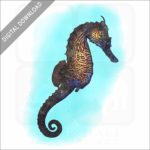 Lined Seahorse stock image