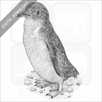 Little Penguin