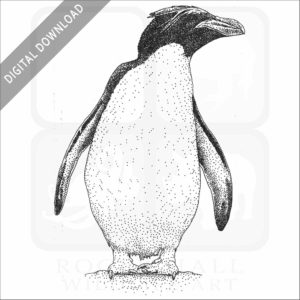 Macaroni Penguin