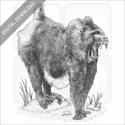 Mandrill